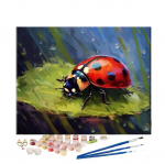 PAINTPLUS Tapyba pagal skaičius, 40 x 50 cm, boružėlė