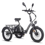 Elektrinis krovininis triratis Fafrees F20 Mate 20", pilkos spalvos