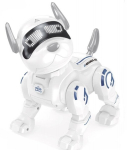 I&scaron;mamusis &scaron;uo robotas su RC