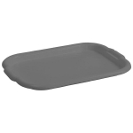 Domotti padėklas Clever, 40x28x3 cm