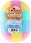 Du&scaron;o kempinė Top Choice Oval, 1 vnt.