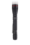 Philips SFL1001P / 10 - LED žibintuvėliss