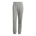Sportinės kelnės vyrams Adidas Essentials M H34659, pilkos