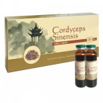 Maisto papildas Kininis kordicepsas, 10 x 10 ml