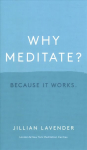 Why Meditate? Because it Works: Because it Works