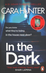 In The Dark: from the Sunday Times bestselling author of Close to Home