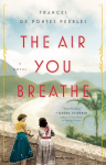 Air You Breathe: A Novel