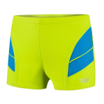 Maudymosi kelnaitės berniukams Aqua Speed Andy, žalios