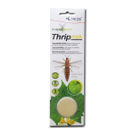 Thripnok tripsų vabzdžių vilioklis, 1 vnt