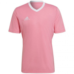 Sportiniai mar&scaron;kinėliai vyrams Adidas Entrada 22 Jersey, rožiniai