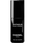 Tualetinis vanduo Chanel Antaeus EDT vyrams 100 ml