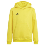 Džemperis vaikams Adidas Entrada 22 Hoody Y Jr HI2142, geltonas