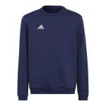Bluzonas vaikams Adidas Entrada 22 Hoody Jr H57568