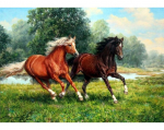 Deimantinė mozaika Collection D'Art 48х38 cm, DE7145