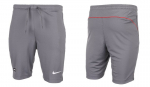 Nike &scaron;ortai vyrams Dri Fit Fc Libero DH9663 065, pilki, S