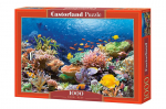 Dėlionė Puzzle Castorland Coral Reef Fishes, 1000 d.