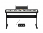 Pedalai Casio SP-34
