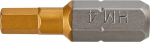 Antgalis Hex 5.0 x 25 mm, 2 vnt.