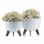 Vazonų rinkinys Rosa linea Eco, 2 vnt