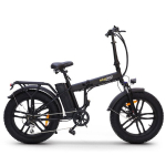 Elektrinis dviratis SkyJet Nitro Pro 20", juodas