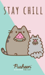 Pusheen rank&scaron;luostis, 30x50 cm