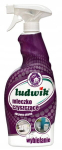 Ludwik valymo pienelis, 750 ml