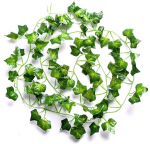 Vijoklinis augalas Gebenė