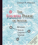 Fourth Phase of Water: Beyond Solid, Liquid, and Vapor
