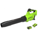 Akumuliatorinis lapų pūstuvas Greenworks G40ABK2II