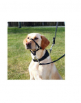 Trixie Top Trainer apynasris, M, 27 cm