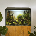Akvariumas Aquael Leddy 60 XL D&N 2.0 72L, juodas, su įranga
