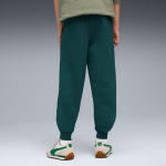Puma Kelnės Paaugliams Ess No.1 Logo Sweatpants Fl Dark Green 684912 75 684912 75/176