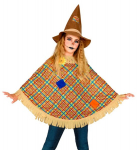 SCARECROW (poncho, hat)