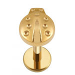 Auksinis titano labret auskaras su boružėle 1,2/8 mm