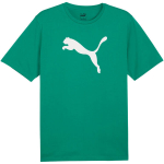 Vyri&scaron;kas mar&scaron;kinėlis Puma Team Rise Logo Jersey Cotton, žalias, 658705 05