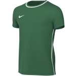 Vaiki&scaron;kas mar&scaron;kinėlis Nike Dri-Fit Park 26, žalias, HM7134 302