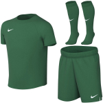Vaiki&scaron;kas sportinis komplektas Nike Dri-Fit Park VIII, žalias, HV8260 302