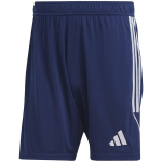 Sportiniai &scaron;ortai vyrams Adidas IB8081 59072-283, mėlyni