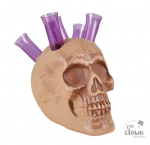 Kaukuolė su 5 stikliukais