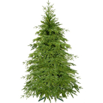 Kalėdų eglutė Springos CT0175 120 cm