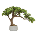 Dirbtinė augalija - ATMOSPHERA - Polin bonsai - Žalias keramikos vazonas - H60cm - Vidaus dekoracija