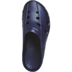 Lauko &scaron;lepetės AERO, 41, 41