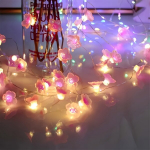 LED vy&scaron;nių žiedų girlianda, 2 m