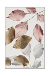 Asir kilimas Hmnt779 80x200 cm