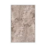 Asir kilimas Eexfab844 80x150 cm
