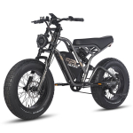 Elektrinis dviratis Fafrees F20 Ultra 20", juodos spalvos