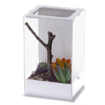 Akrilinis terariumas mantioms Repti-Zoo Mantis Box M