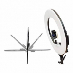 XXL (44cm) Žiedo formos LED &scaron;viesos lempa su pultu (be stovo), YQ-480B