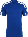 Sportiniai mar&scaron;kinėliai vyrams Adidas Squadra 21 JSY M GK9154, mėlyni