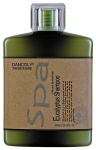 &Scaron;ampūnas riebiems ir pleiskanotiems plaukams Dancoly Spa Eucalyptus Shampoo, 300 ml